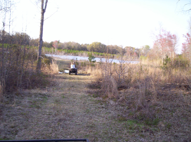 Georgia 2010 031
