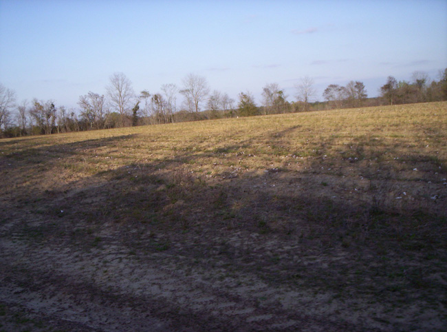 Georgia 2010 035