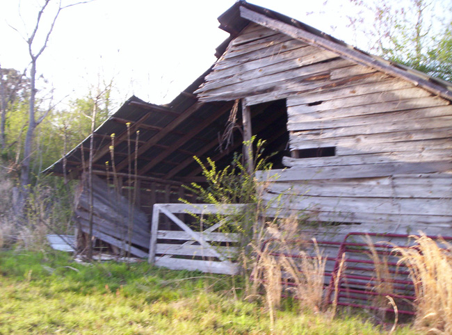 Georgia 2010 037