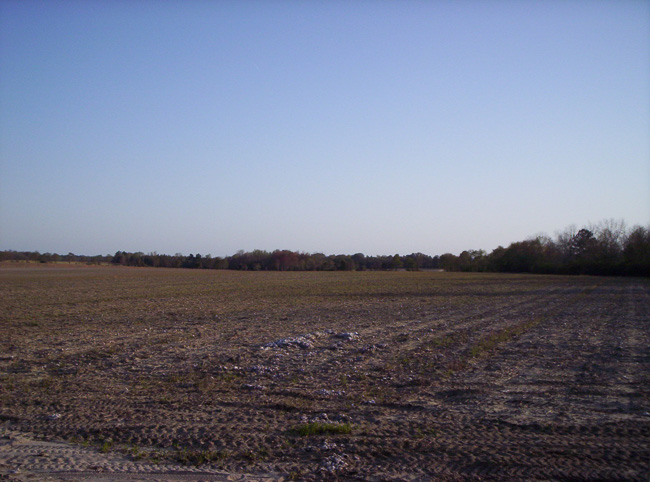 Georgia 2010 038