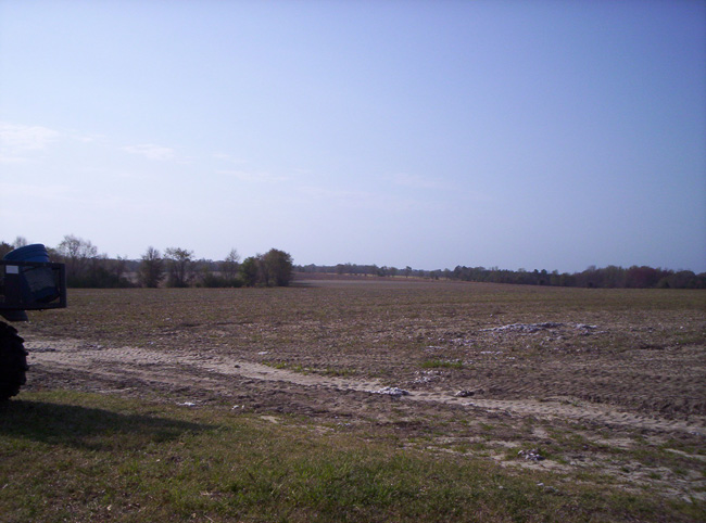 Georgia 2010 042