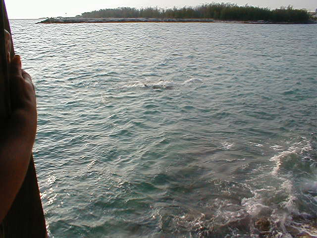 P7070052