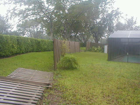 P9050104