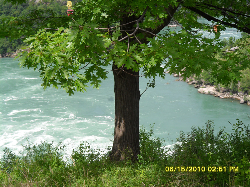 SAM_0086