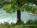 SAM_0086