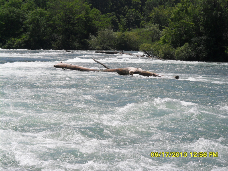 SAM_0333