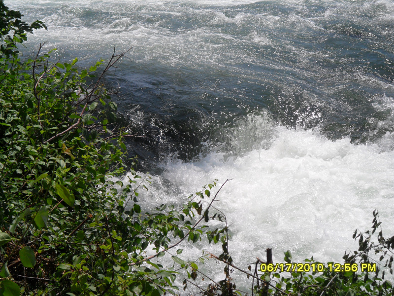 SAM_0335