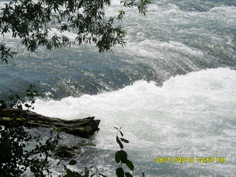 SAM_0339