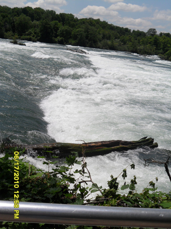 SAM_0344