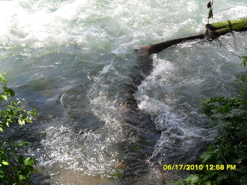 SAM_0345