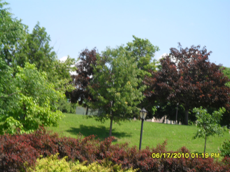 SAM_0380