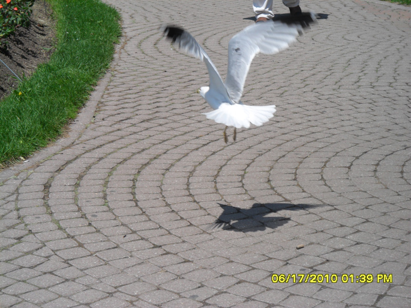 SAM_0382