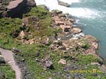 SAM_0271