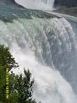 SAM_0323