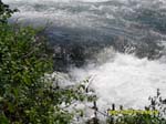 SAM_0335