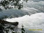 SAM_0339