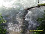 SAM_0345