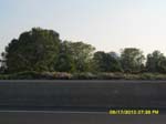 SAM_0442